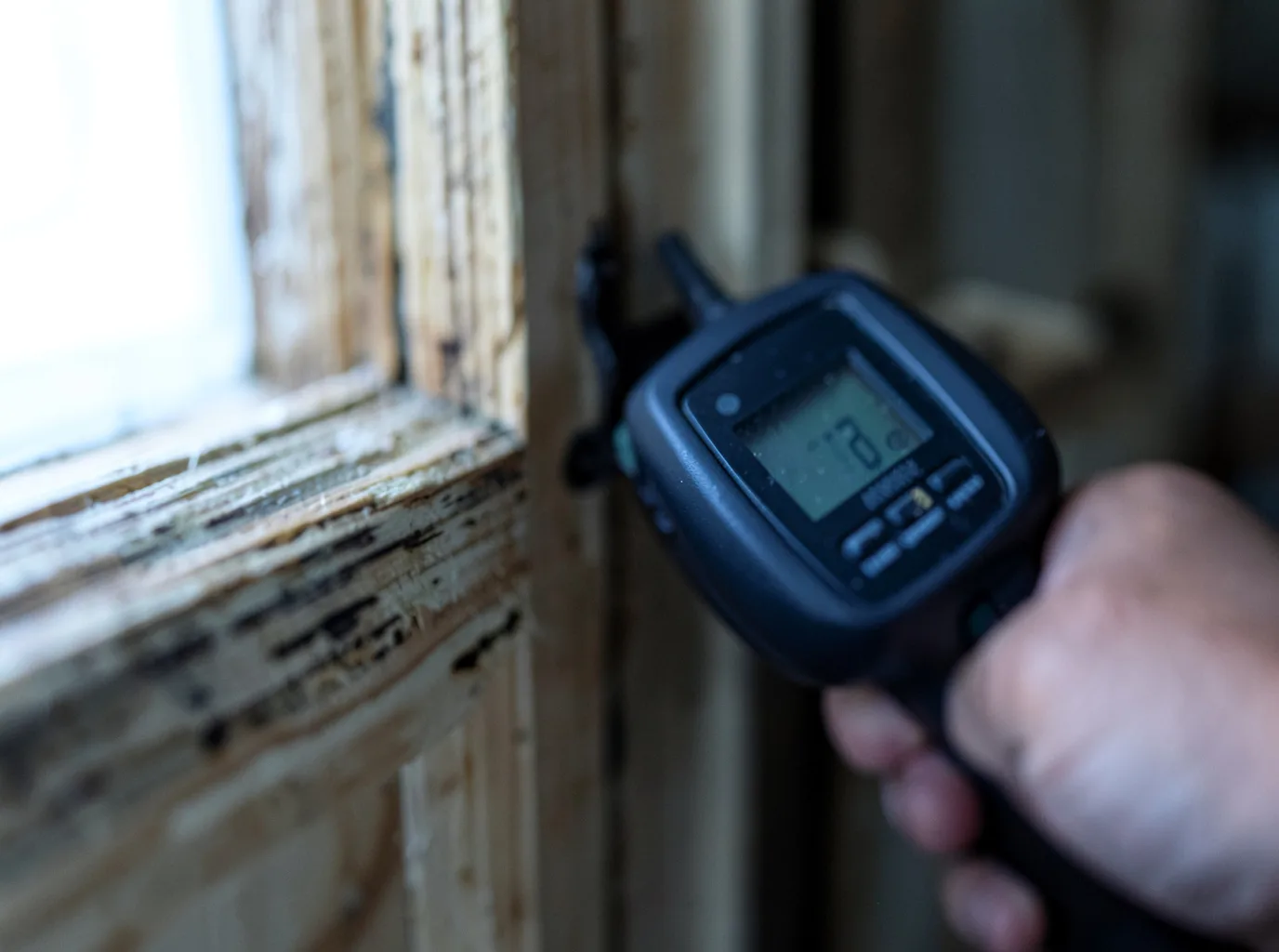 Moisture Inspection And Documentation in Priest River, ID